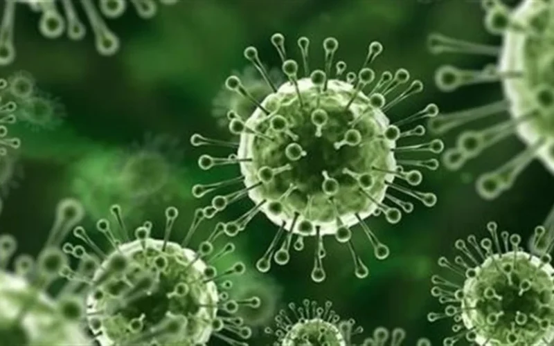 تحركات تايوانية عاجلة.. تشديد الرقابة الصحية لمواجهة تفشي فيروس نيباه في الهند 2026